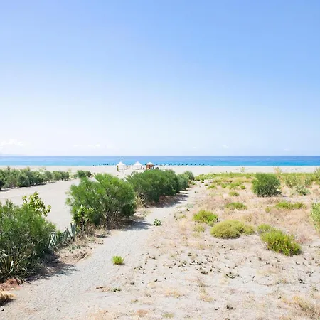 Edvige نوشيرا تيرينيزي